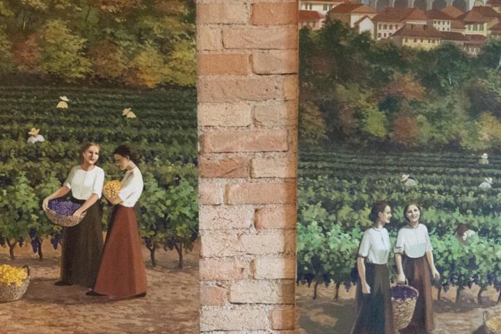 Appartamento Da Elvira Costigliole d'Asti Esterno foto